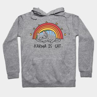 Karma Is A Cat Hoodie